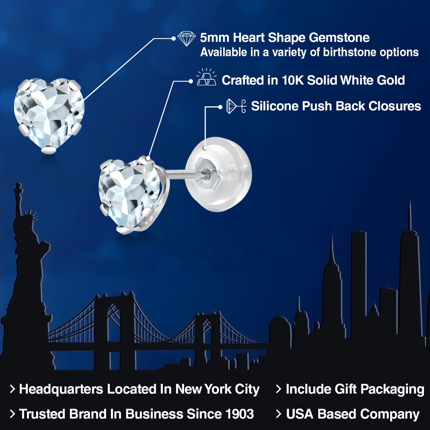 Earrings in 10K White Gold