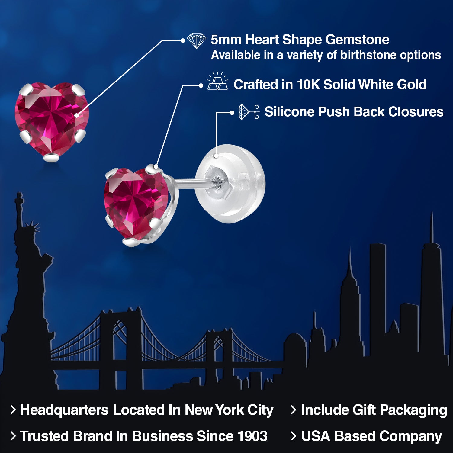 Earrings in 10K White Gold