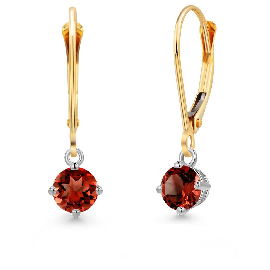 Garnet - January_Earrings in 14K Two Tone Gold