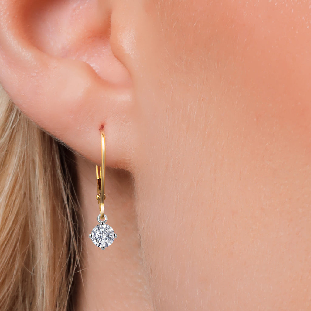E - F_Earrings in 14K Two Tone Gold