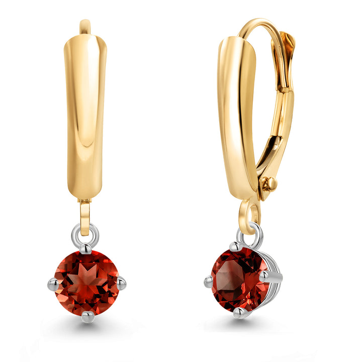 Garnet - January_Earrings in 14K Two Tone Gold