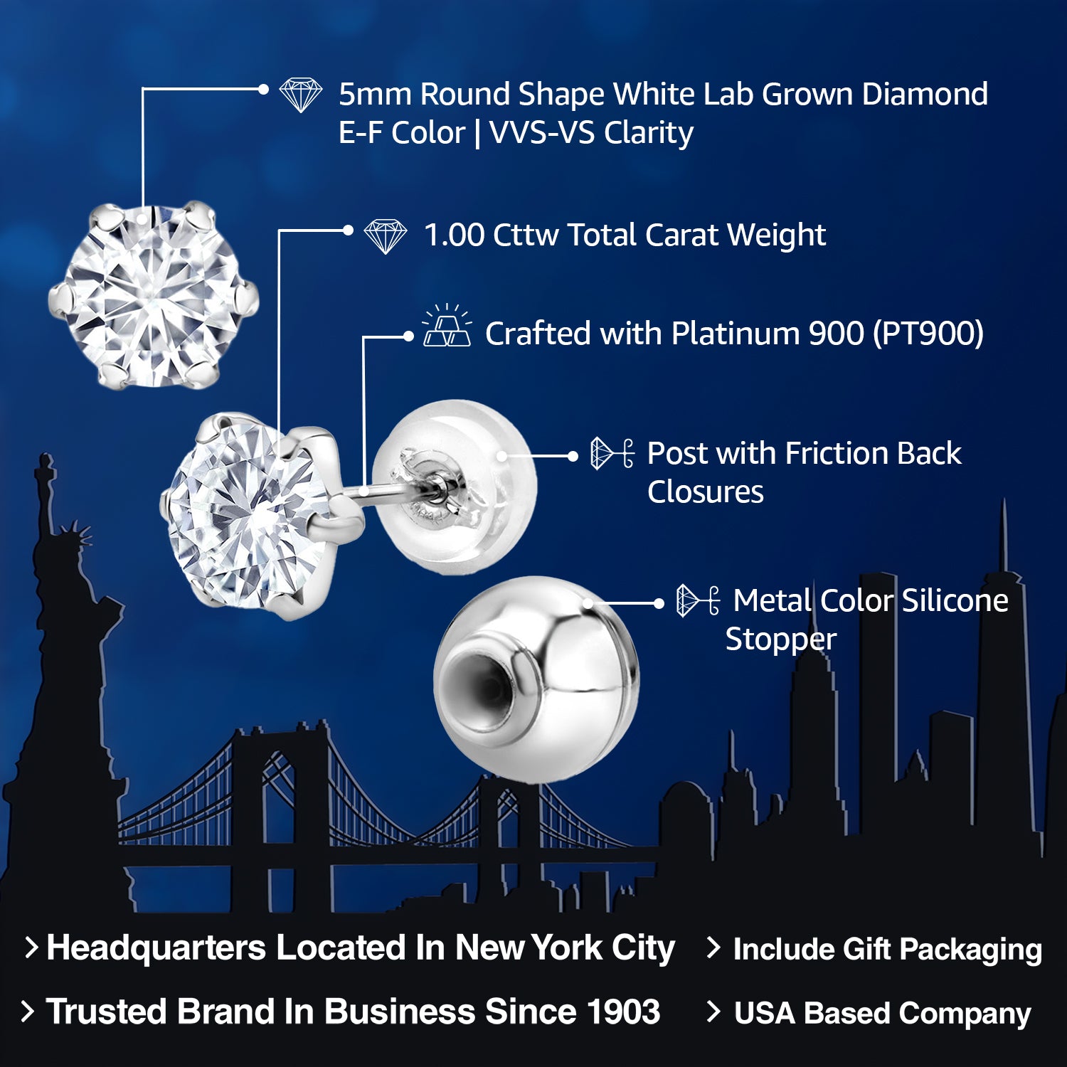 Earrings in Platinum