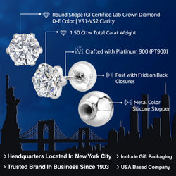 Earrings in Platinum