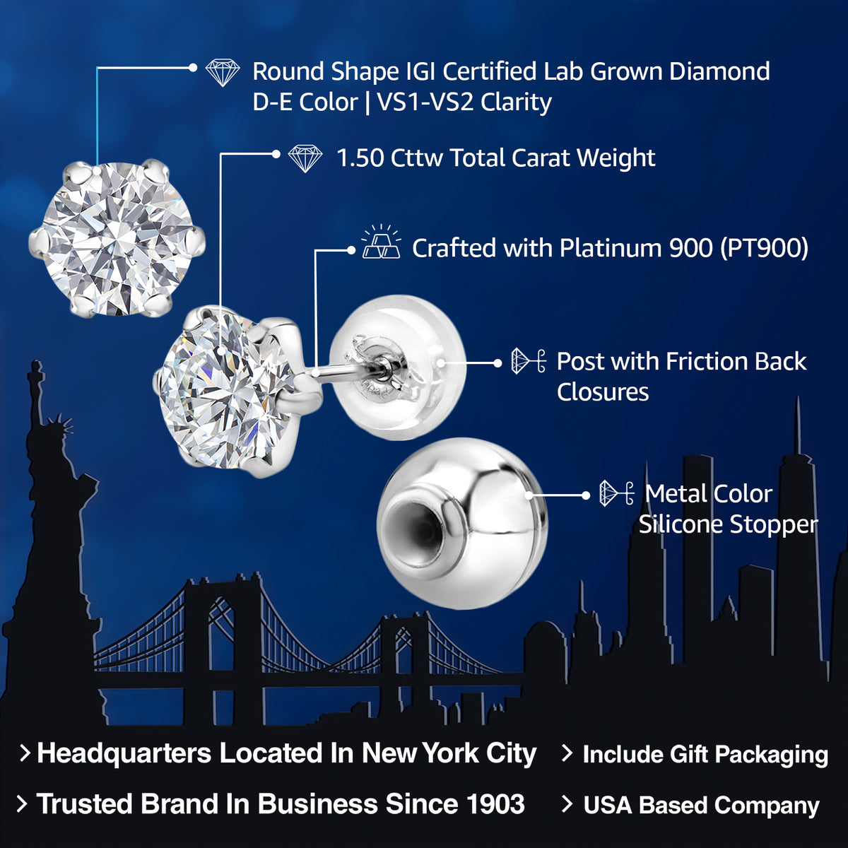 Earrings in Platinum