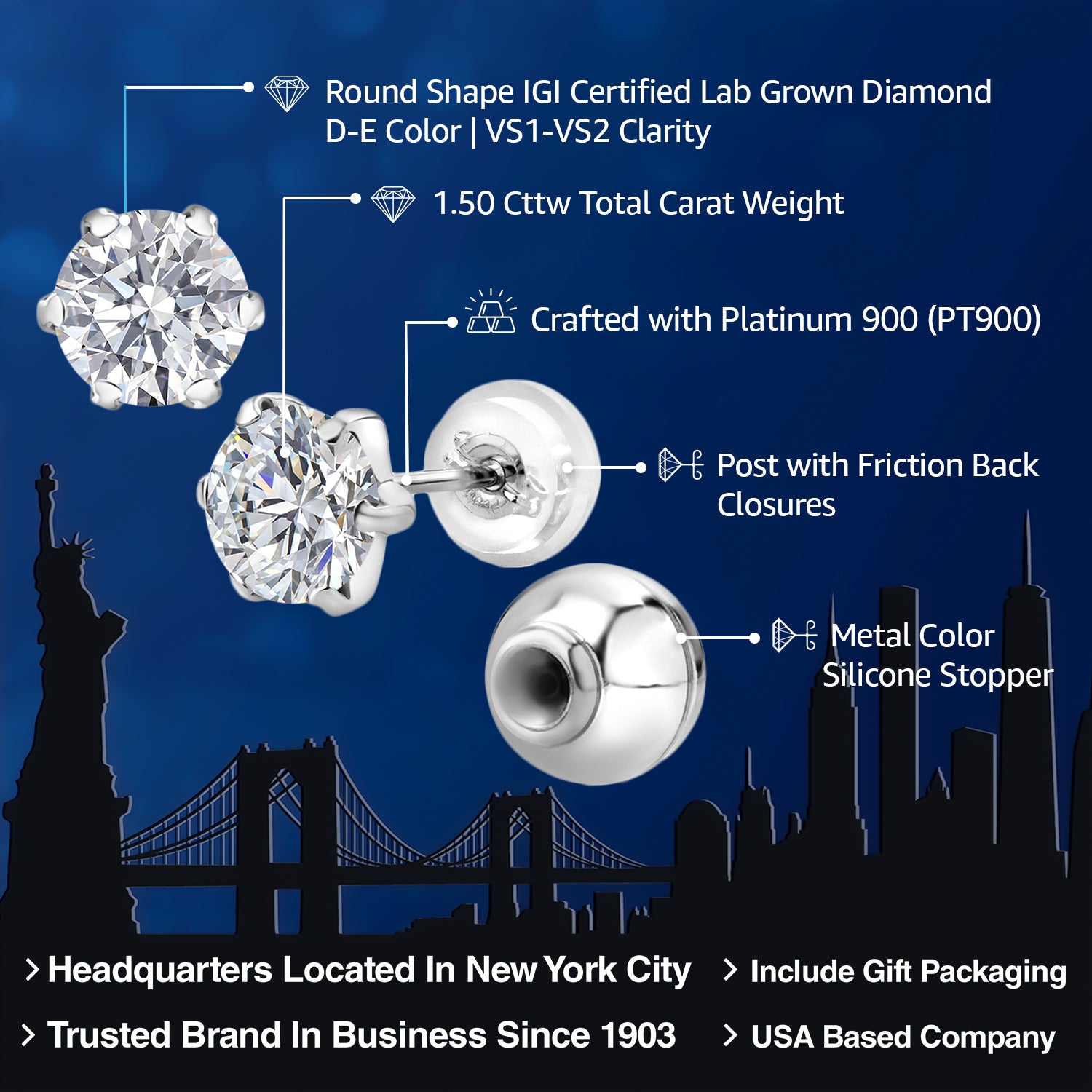 Earrings in Platinum
