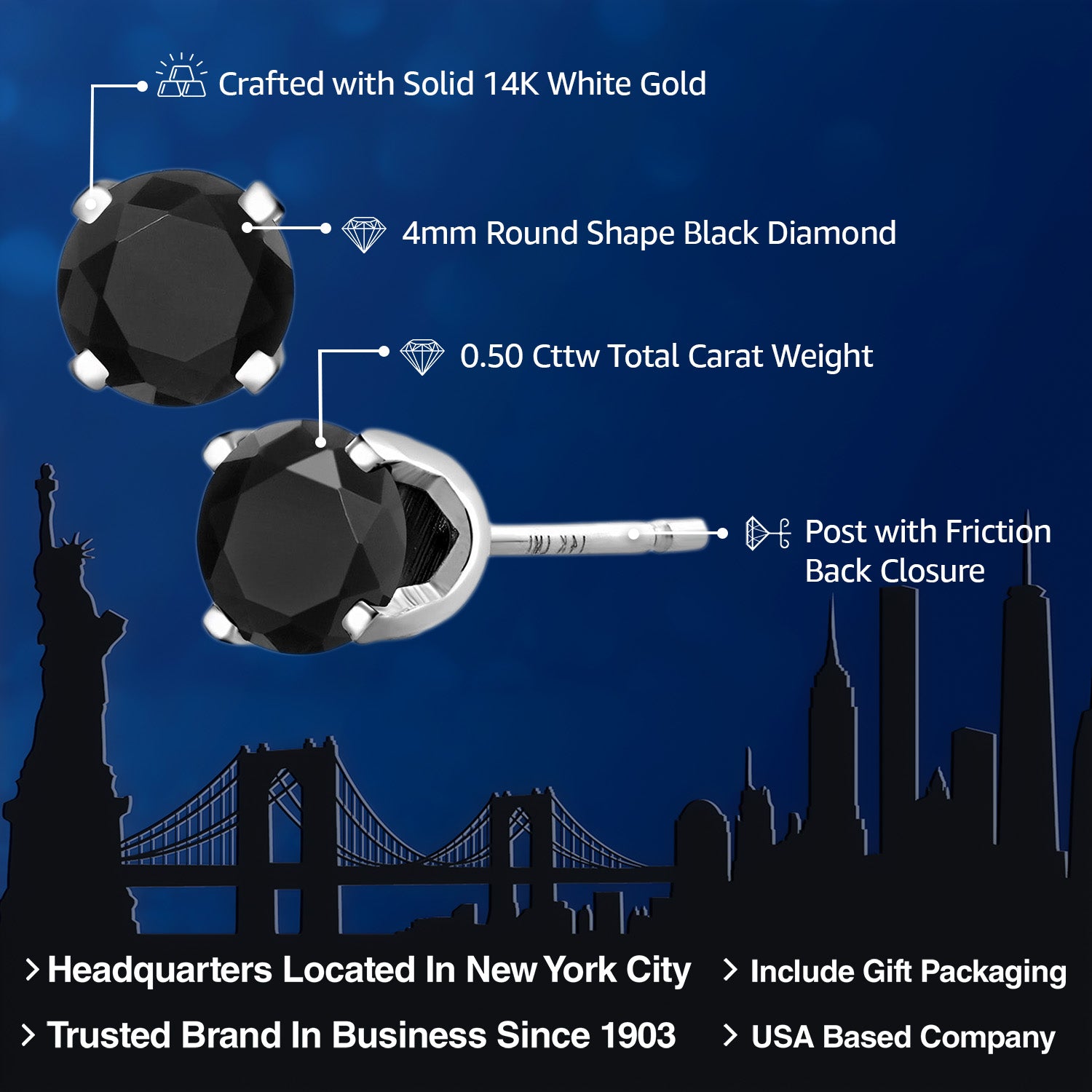 Earrings in 14K White Gold