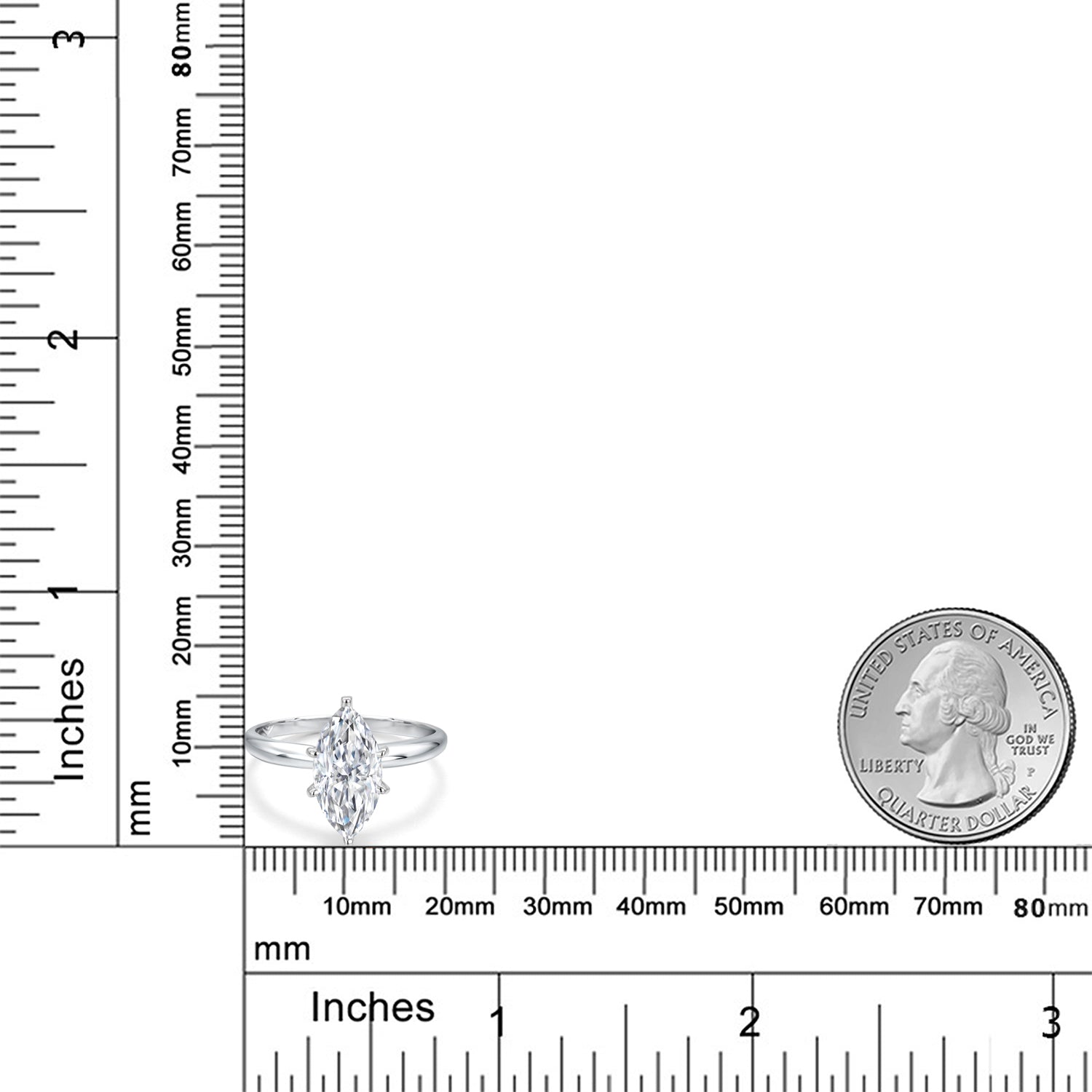 Ring in 14K White Gold