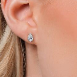 Earrings in 14K Yellow Gold