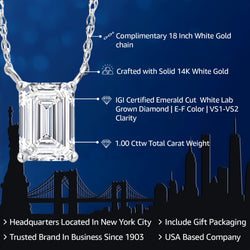 Pendant in 14K White Gold