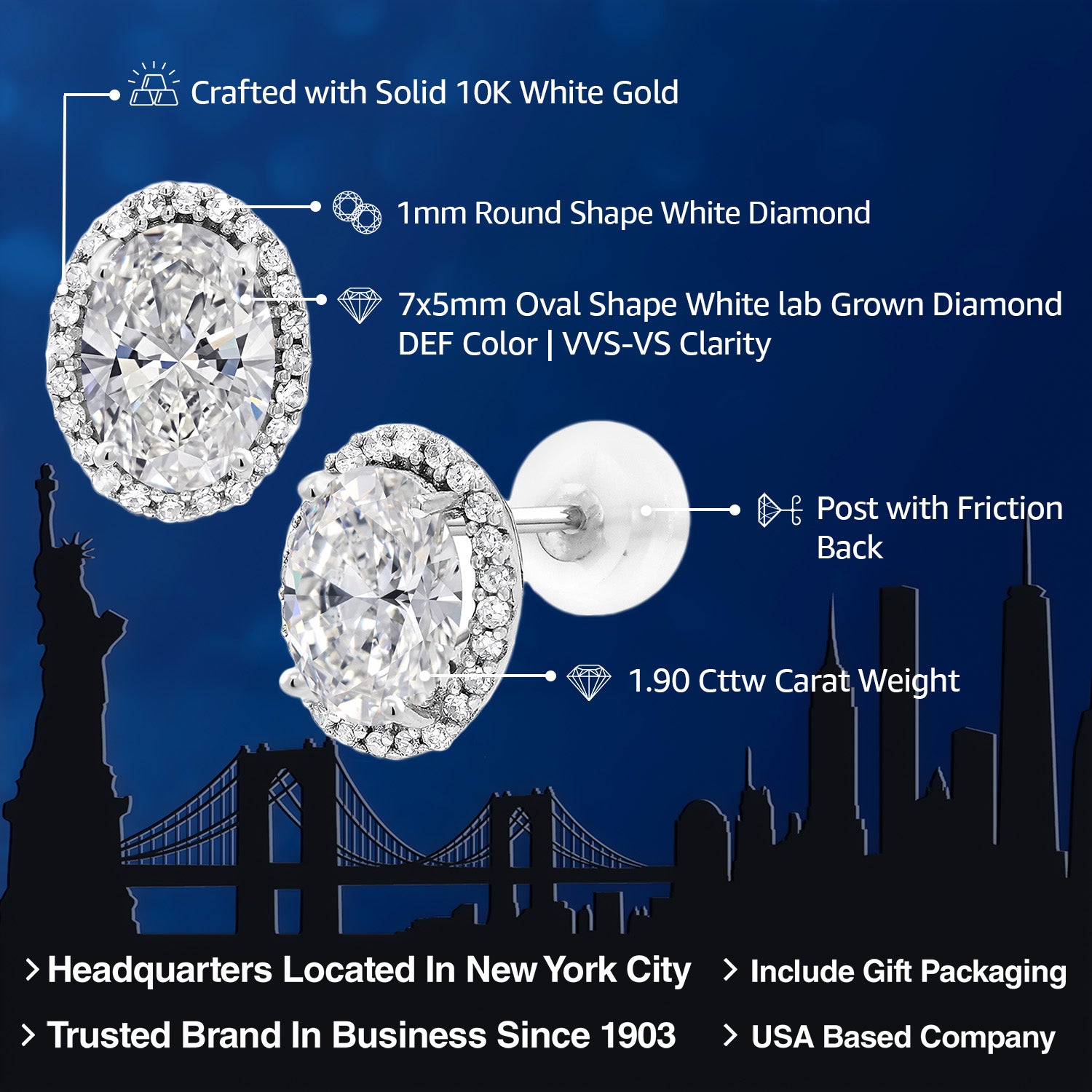 Earrings in 10K White Gold