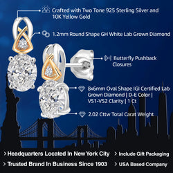 Earrings in 925 Sterling Silver and 10K Yellow Gold