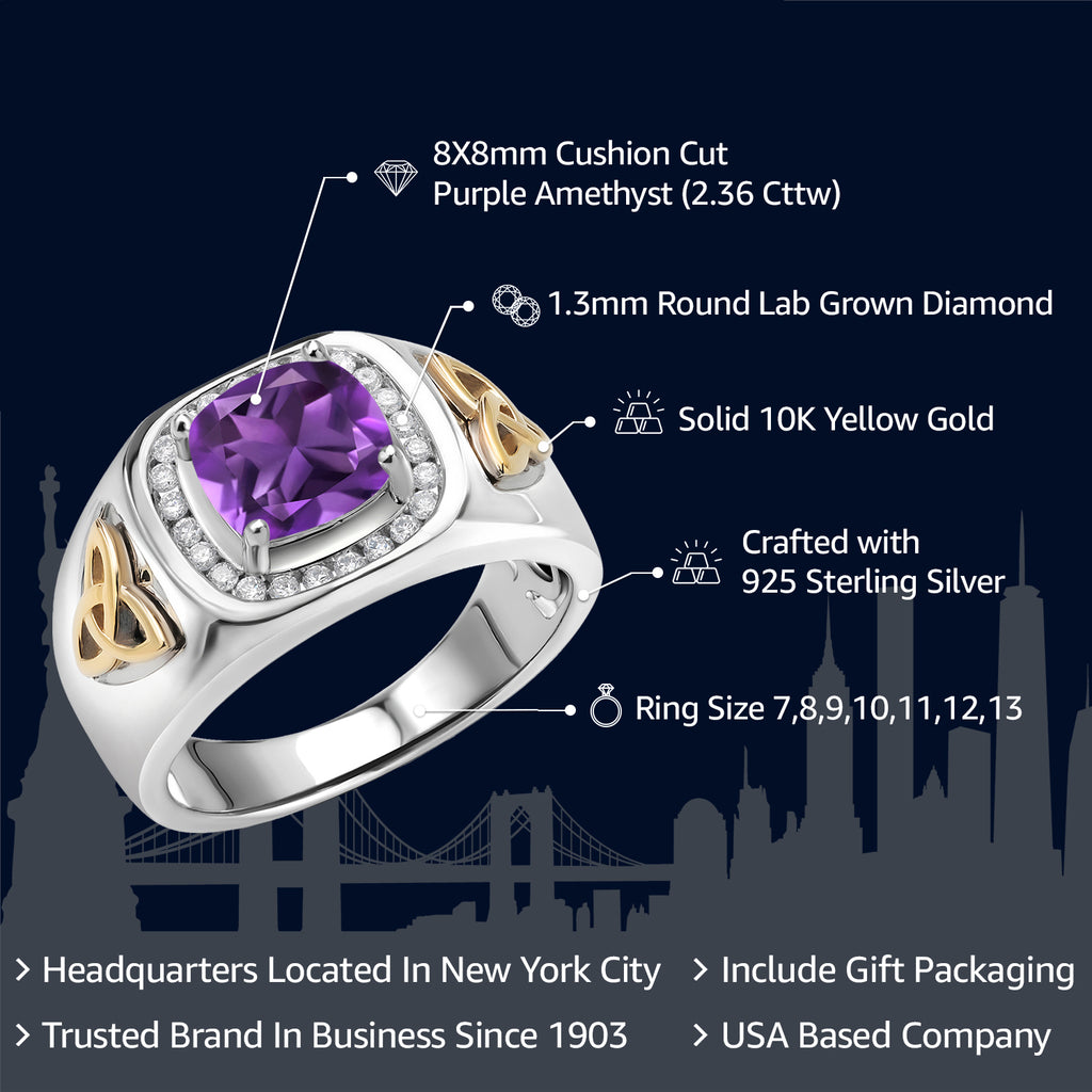 Amethyst - February_Ring in 925 Sterling Silver and 10K Yellow Gold