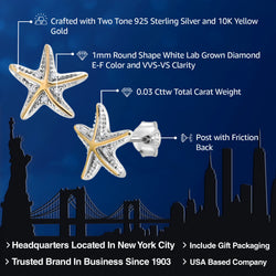 Earrings in 925 Sterling Silver and 10K Yellow Gold