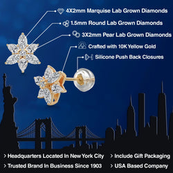 Earrings in 10K Yellow Gold