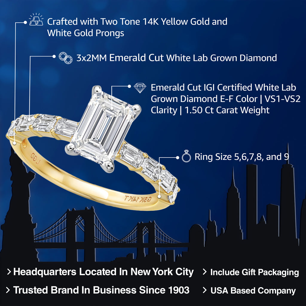 Ring in 14K Two Tone Gold