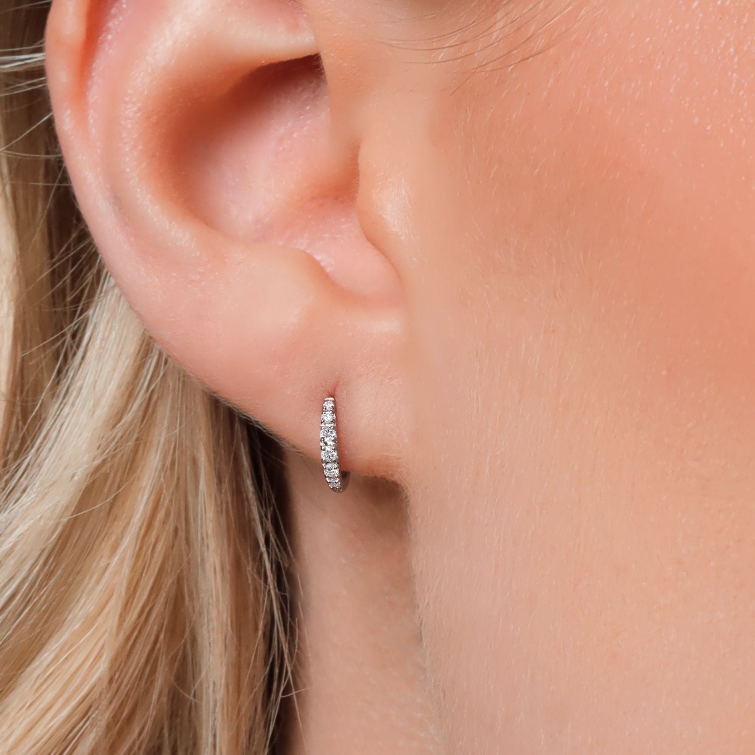 Earrings in 10K White Gold