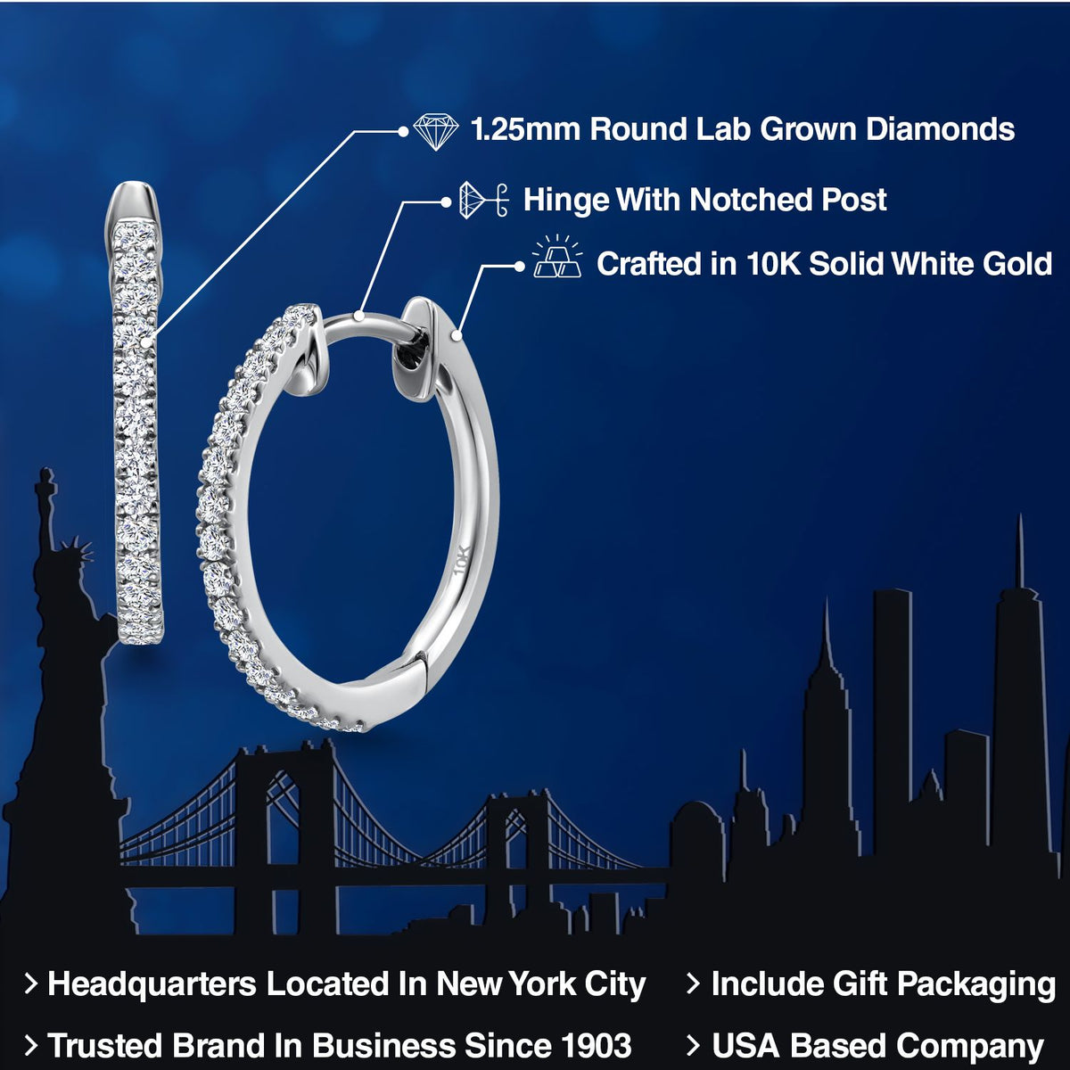 Earrings in 10K White Gold