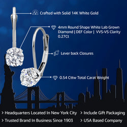Earrings in 14K White Gold