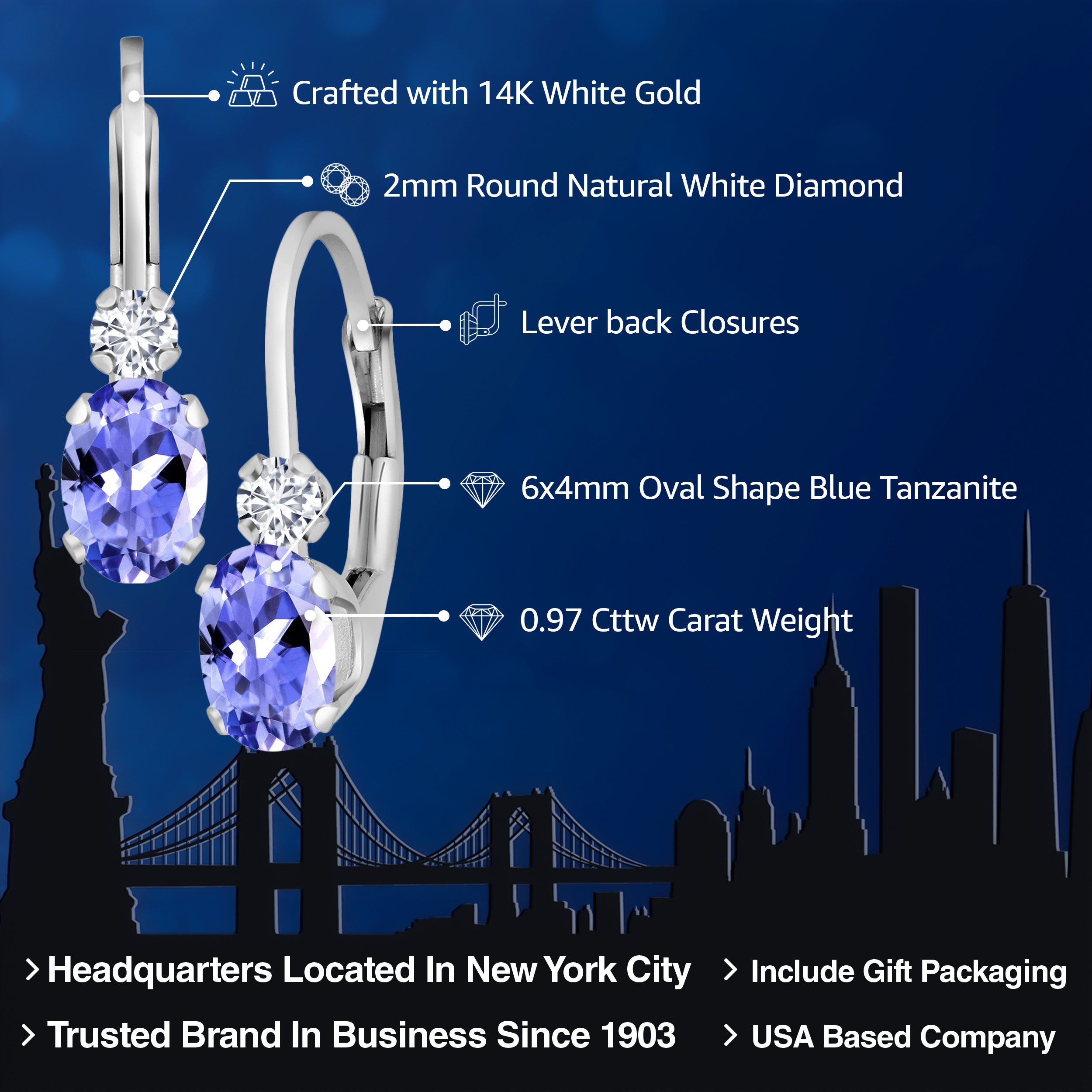 Earrings in 14K White Gold