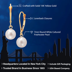Earrings in 14K Yellow Gold