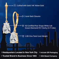 Earrings in 14K Yellow Gold