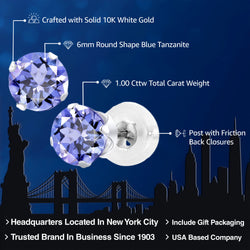 Earrings in 10K White Gold
