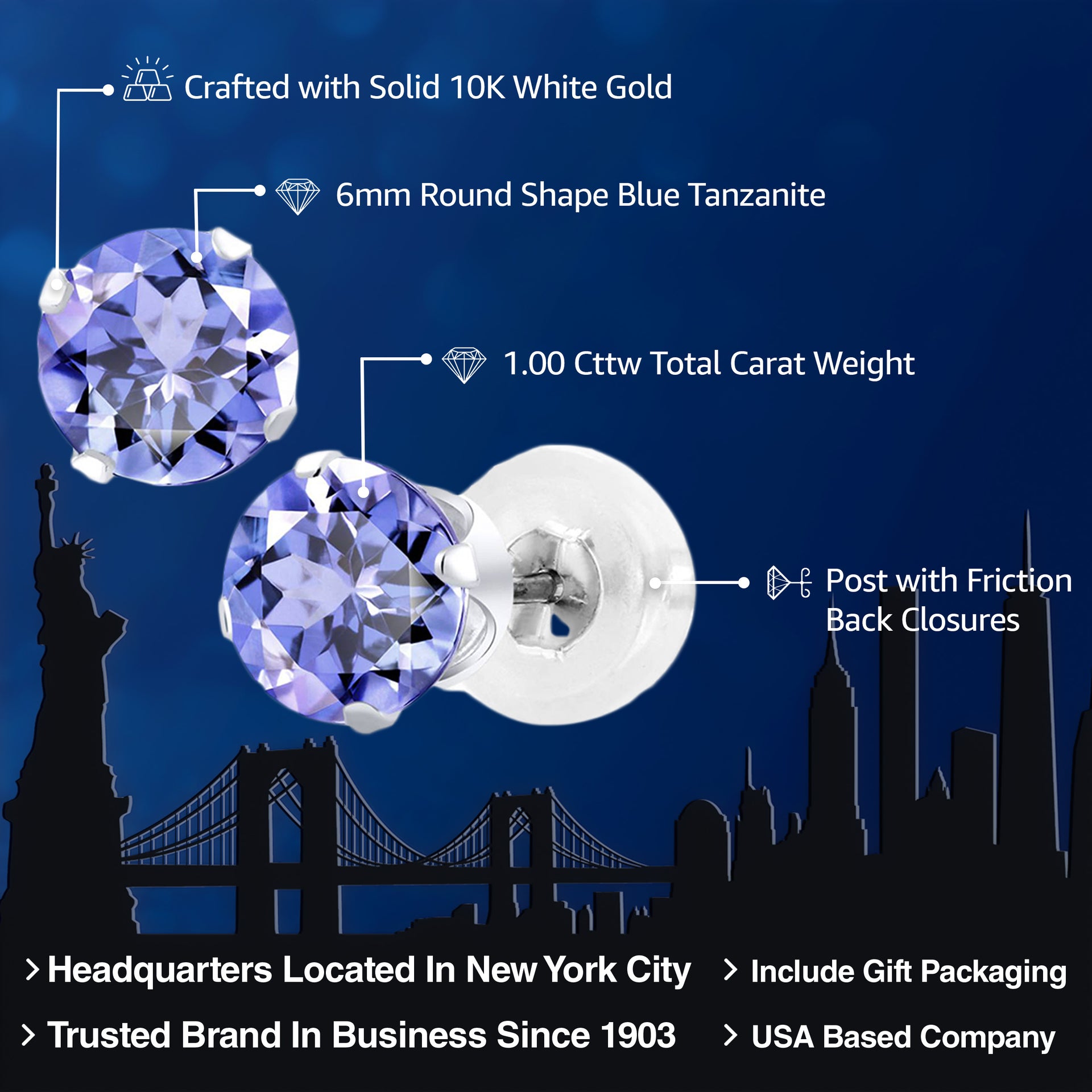 Earrings in 10K White Gold