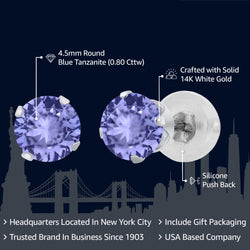 Earrings in 14K White Gold